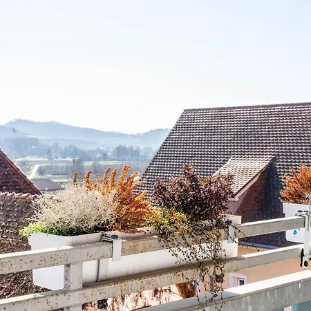 Apart Otel Gaestehaus Siebter Himmel Vogtsburg